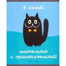 Тетрадь Черный котик, А5, 48 листов, в ассортименте (ТКБ487209)