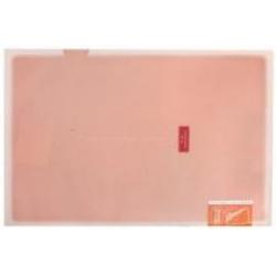 Папка-уголок Coloree, А4, розовый, 2 кармана (FV-TDV750P)