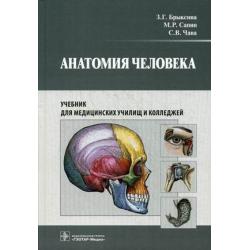 Анатомия человека. Учебник для медицинских училищ и колледжей. Гриф МО РФ