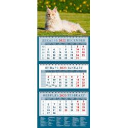 2023 Календарь Год кота. Приятно пол на солн