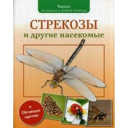 Стрекозы и другие насекомые + обучающие карточки / Волцит Петр Михайлович