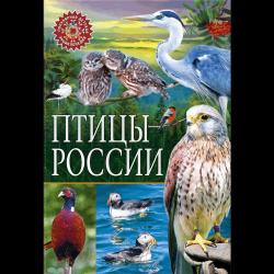 Птицы России. Популярная детская энциклопедия