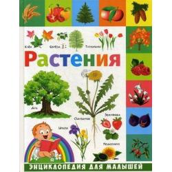 Растения. Энциклопедия для малышей