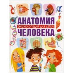 Анатомия человека. Энциклопедия для детей / Гуиди Винченцо