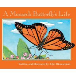 A Monarch Butterflys Life