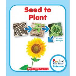 Seed to Plant