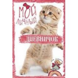 Мой личный дневничок. Рыжий котик / Разумеева Ю.В.