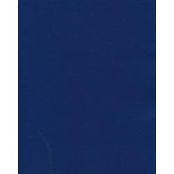 Тетрадь общая Бумвинил. Синий (96 листов, А5, линия) (96Т5бвВ2)