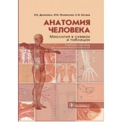 Анатомия человека. Миология в схемах и таблицах