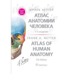 Атлас анатомии человека терминология на русском, латинском и английском языках