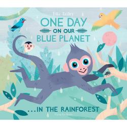 One Day On Our Blue Planet. In The Rainforest