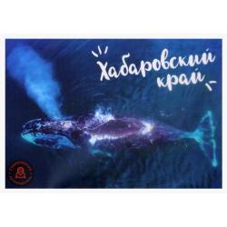 Набор открыток Хабаровский край