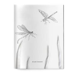 Тетрадь Dragonfly, А5, 40 листов, клетка