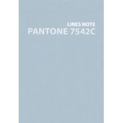 Тетрадь Pantone line No.1, 80 листов, линия, А6+