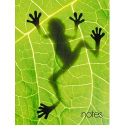 Книга для записей Frog, А6, 80 листов, клетка