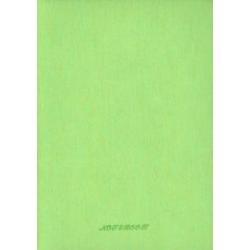 Ежедневник недатированный Silwerhof, цвет зеленый, 160 листов, А5