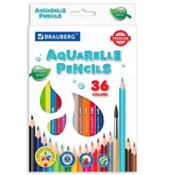 Карандаши цветные акварельные Premium Aquarelle, 36 цветов, грифель мягкий 4 мм