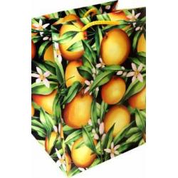 Пакет Апельсины