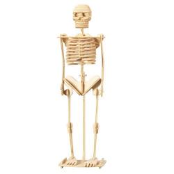 Модель деревянная сборная Скелет человека