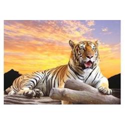 Холст с красками Палитра. Рисование по номерам. Большой тигр на закате, 40х50 см
