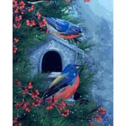 Холст с красками Красивые зимние птицы