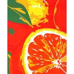 Холст для рисования по номерам Сочные апельсины (30х40 см) (KTL620)