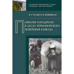 Павианы гамадрилы в лесах Черноморского побережья Кавказа