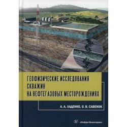 Геофизические исследования скважин на нефтегазовых месторождениях. Учебное пособие