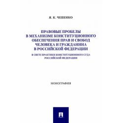 Правовые пробелы в механизме конституционного обеспечения прав и свобод человека и гражданина в РФ