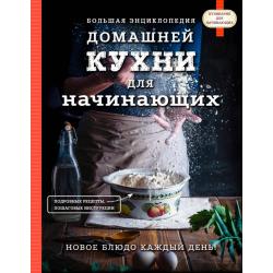 Большая энциклопедия домашней кухни для начинающих / Сушик Оксана Алексеевна