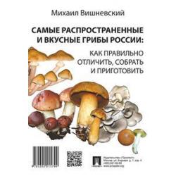 Самые распространенные и вкусные грибы России как правильно отличить, собрать и приготовить
