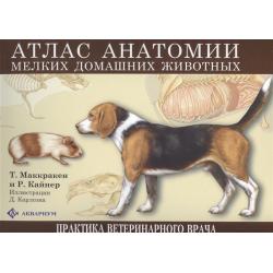 Атлас анатомии мелких домашних животных / Маккракен Т., Кайнер Р.