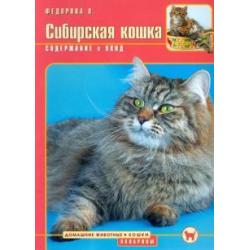 Сибирская кошка. Содержание и уход