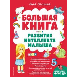 Большая книга. Развитие интеллекта малыша