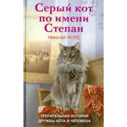 Серый кот по имени Степан. Трогательная история дружбы кота и человека