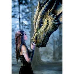 Пазл Девушка и дракон (1000 деталей)