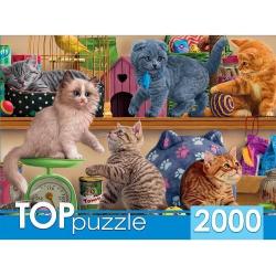 Пазлы Toppuzzle. Смешные котята в зоомагазине, 2000 элементов