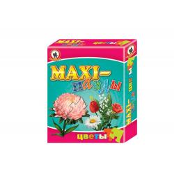 Макси-пазлы Цветы, 20 элементов