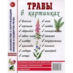 Травы в картинках. Наглядное пособие для педагогов, логопедов, воспитателей и родителей