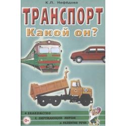 Транспорт. Какой он? Знакомство с окружающим миром, развитие речи