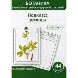 Ботаника. Систематика грибов, водорослей, растений. Блок 3 Подкласс розиды. 44 гербарные карточки