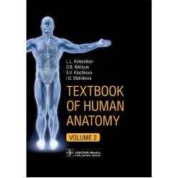 Textbook of Human Anatomy. Volume 2. Splanchnology and cardiovascular system