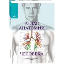 Атлас анатомии человека / Серова В.