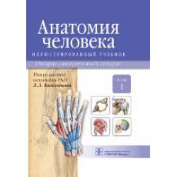 Анатомия человека. Учебник в 3-х томах. Том 1. Опорно-двигательный аппарат